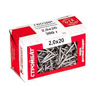 Гвозди  строительные оцинкованные Стройбат 2,0x20 (0,3 кг)  картинка